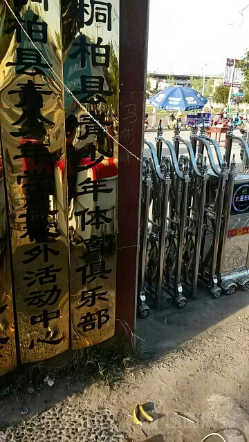 桐柏县青少年体育俱乐部(三源大道店)