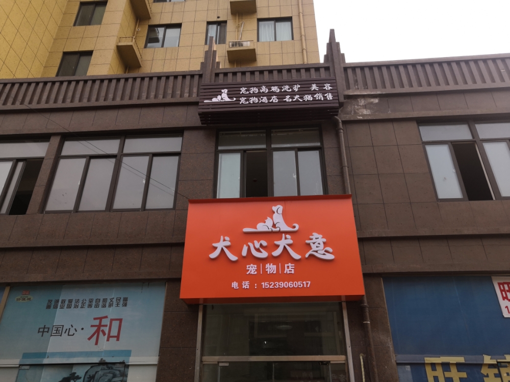 犬心犬意宠物店(文新路店)