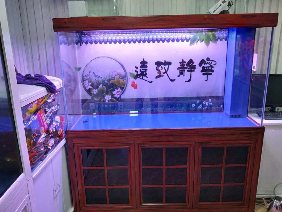 重庆吉祥水族馆品牌鱼缸批发定制店