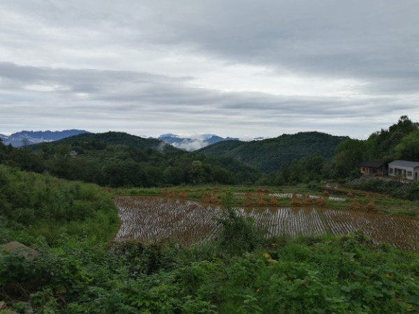 湖南省张家界市慈利县