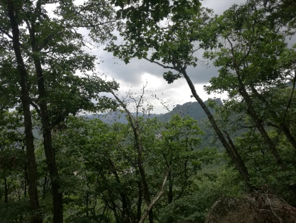 黑风口栈道