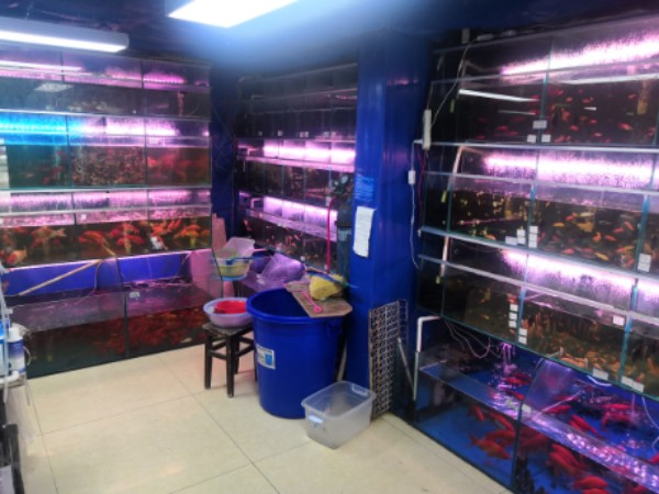 壹家乐水族馆(壹里上城店)