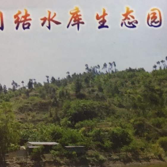 玉溪市江川县团结水库饭店