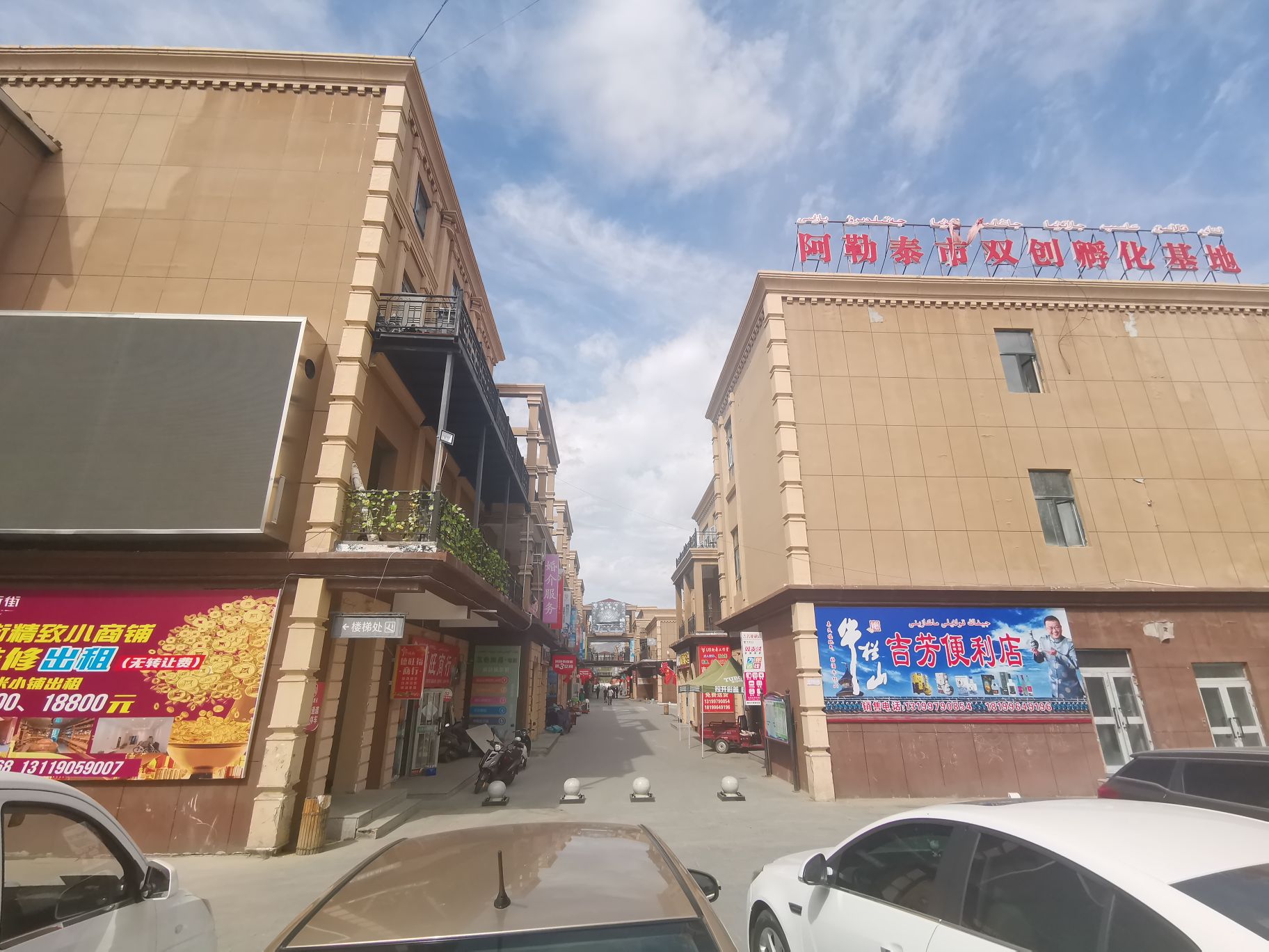 阿勒泰市北区金街(步行街)阿勒泰市双穿孵化基地