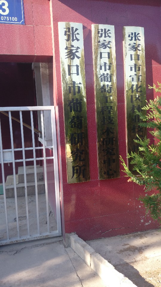 宣化葡萄研究院