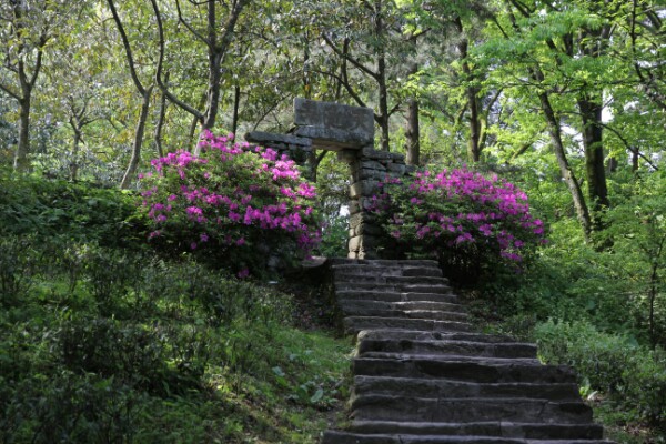 天池寺大门