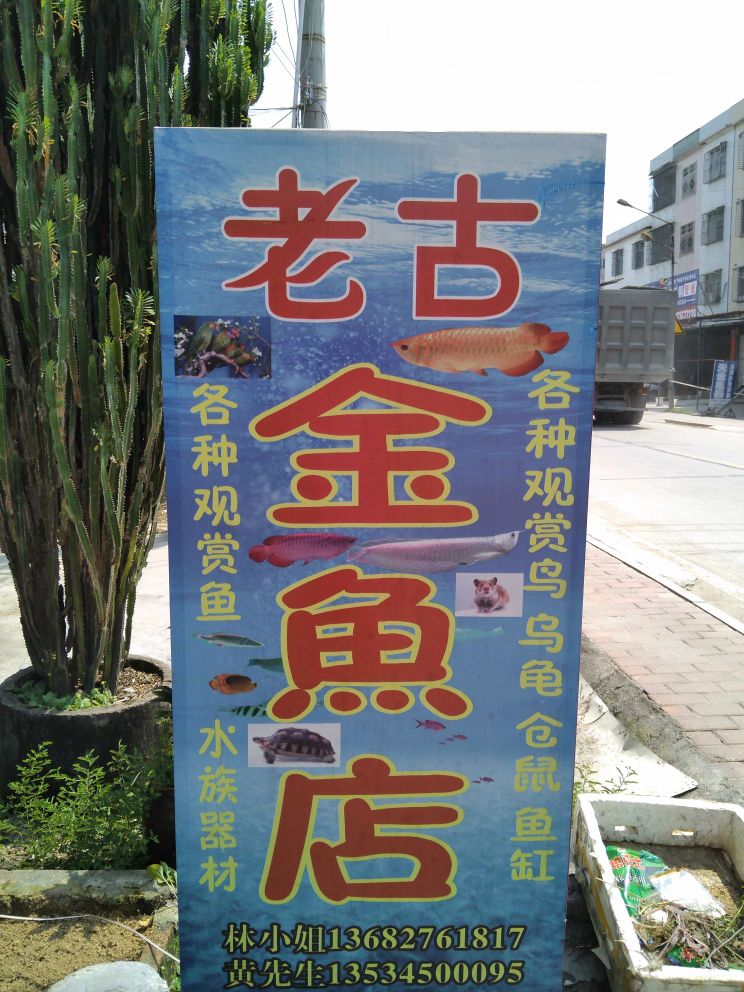 揭阳市揭东区