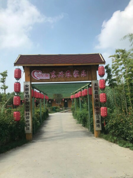徽姑娘东新农庄