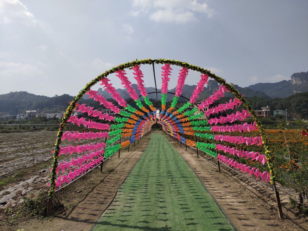 崀山花海