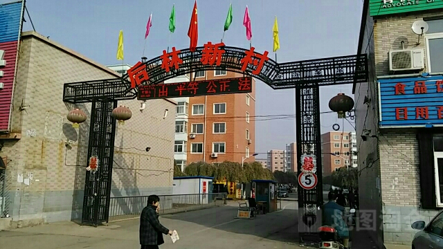 沈阳营城子花卉市场图片