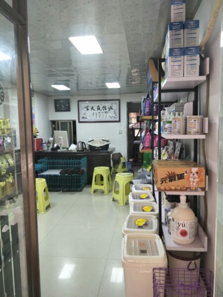 阳光宝贝宠物乐园(蒸阳北路店)