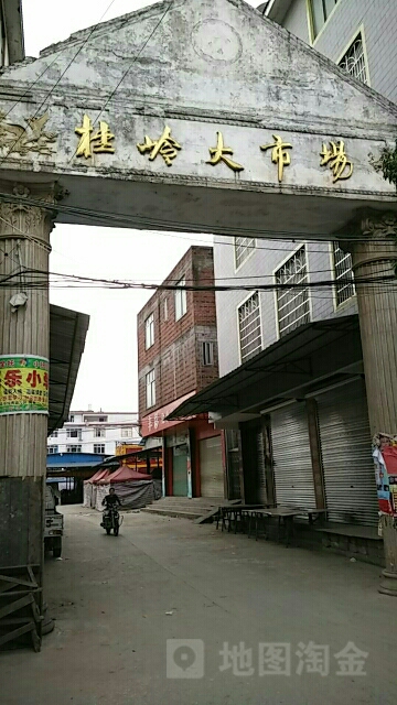 桂岭大市场