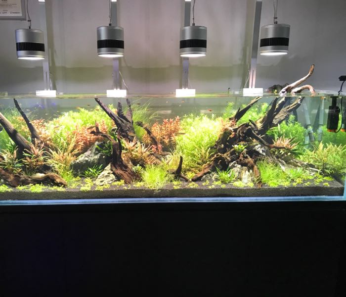新浦在水一方水族馆