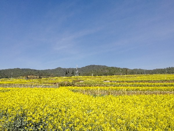 云南省玉溪市峨山彝族自治县