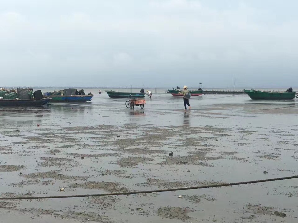 广东省湛江市霞山区