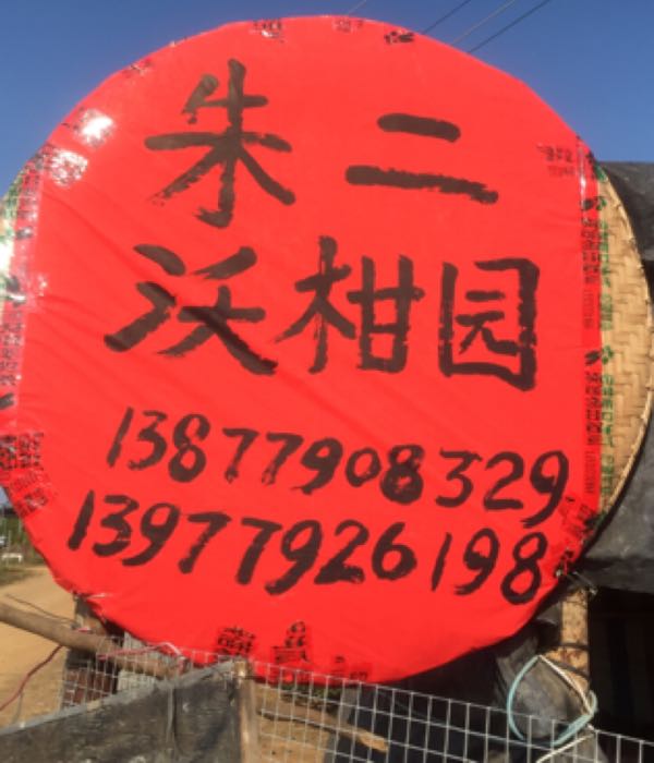 营盘林场朱二果园