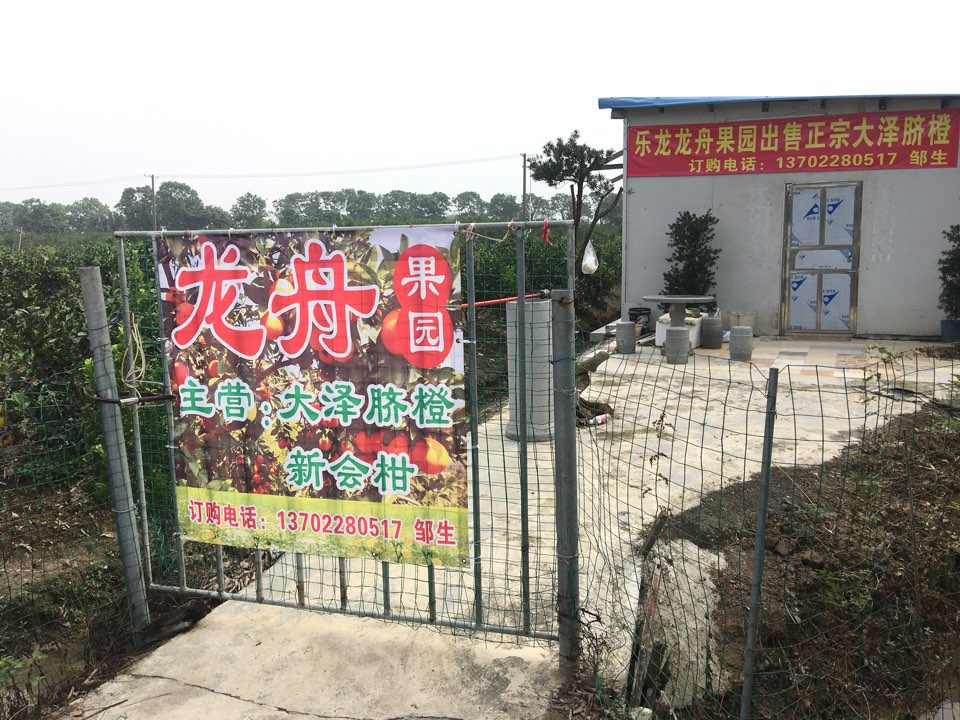 广东省江门市新会区