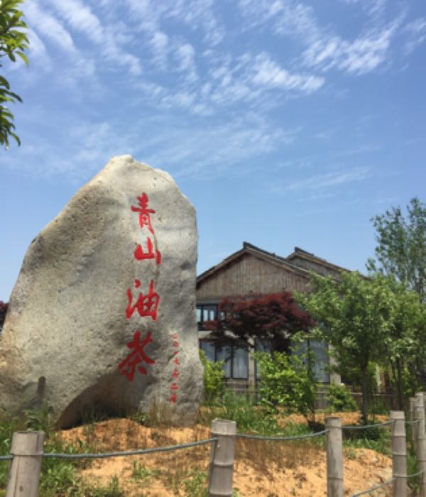 青山区美食馆