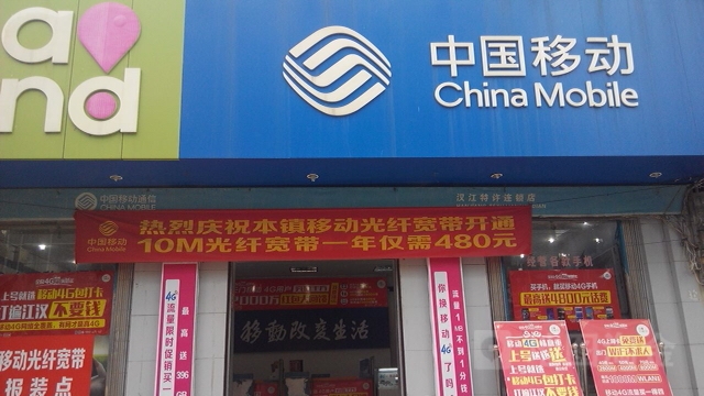 中国移动(岳口解放特约代理点)