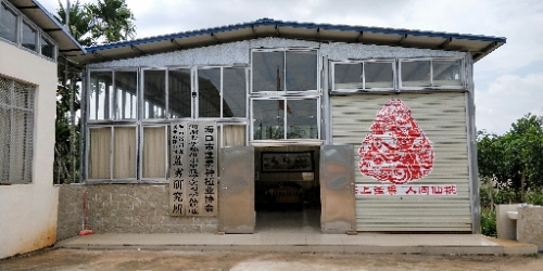 海南裕昌龙实业有限公司