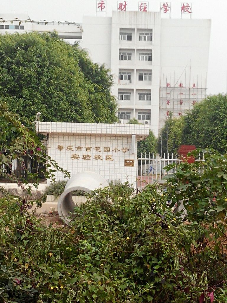 肇庆市市第十五小学(蕉园校区)