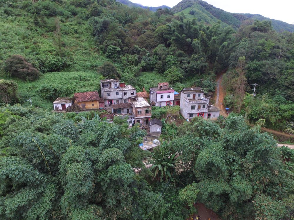 百色市田林县