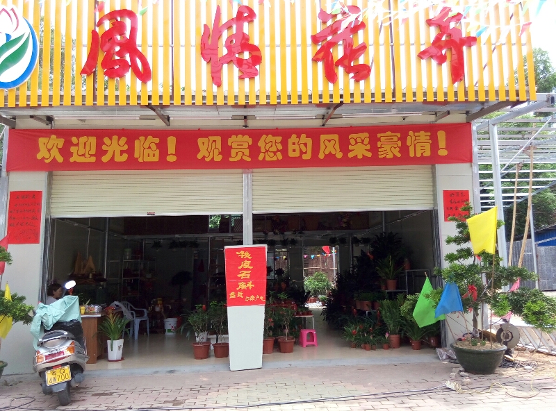 阳西县城风情花店