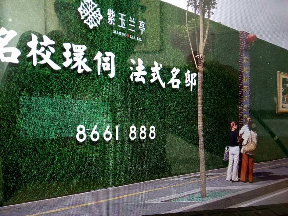 滨投紫玉兰亭