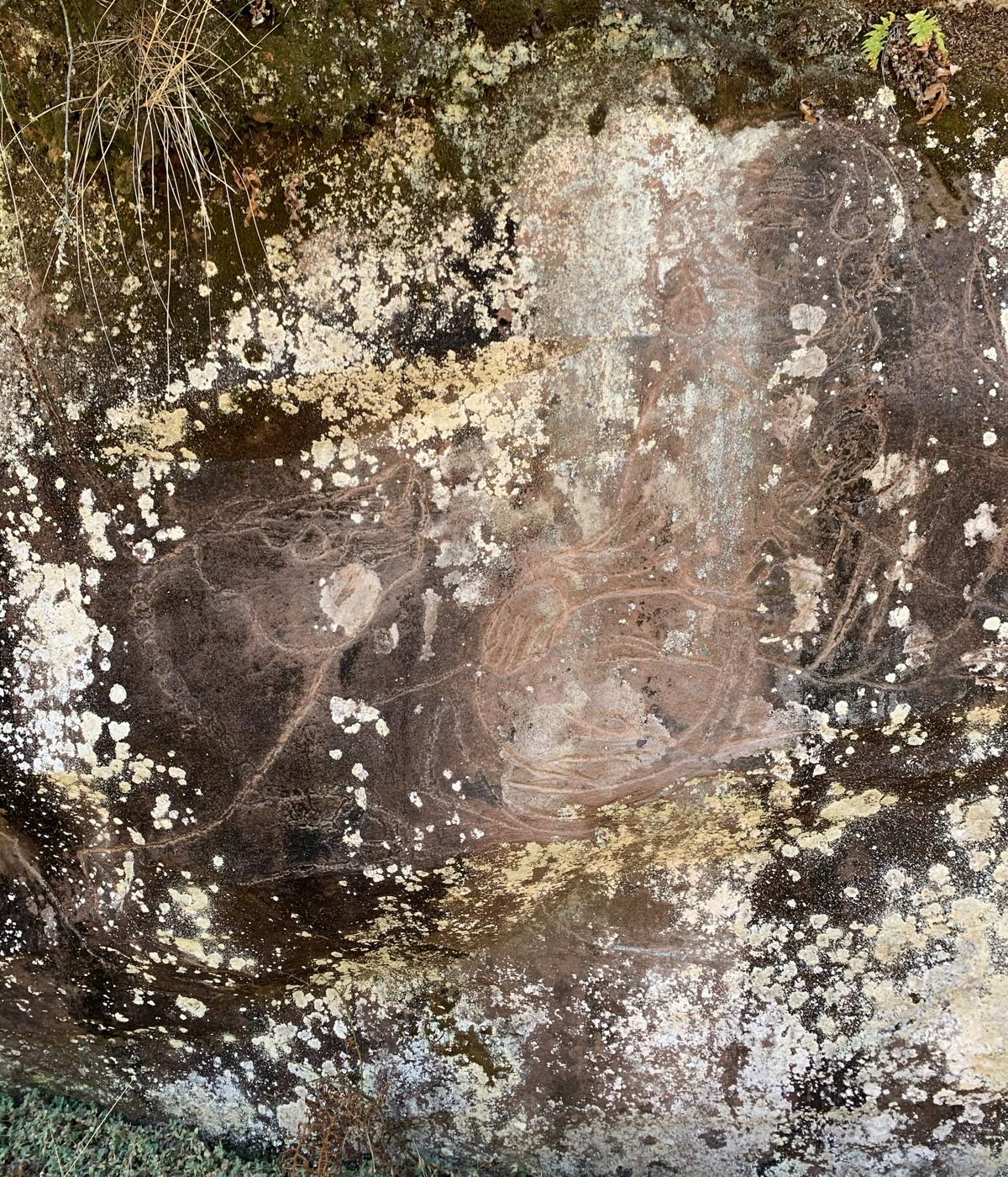 博什瓦黑岩画 地址:四川省凉山彝族自治州昭觉县