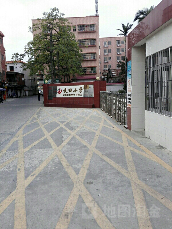 广东省佛山市禅城区堤田小学(前高地路北)