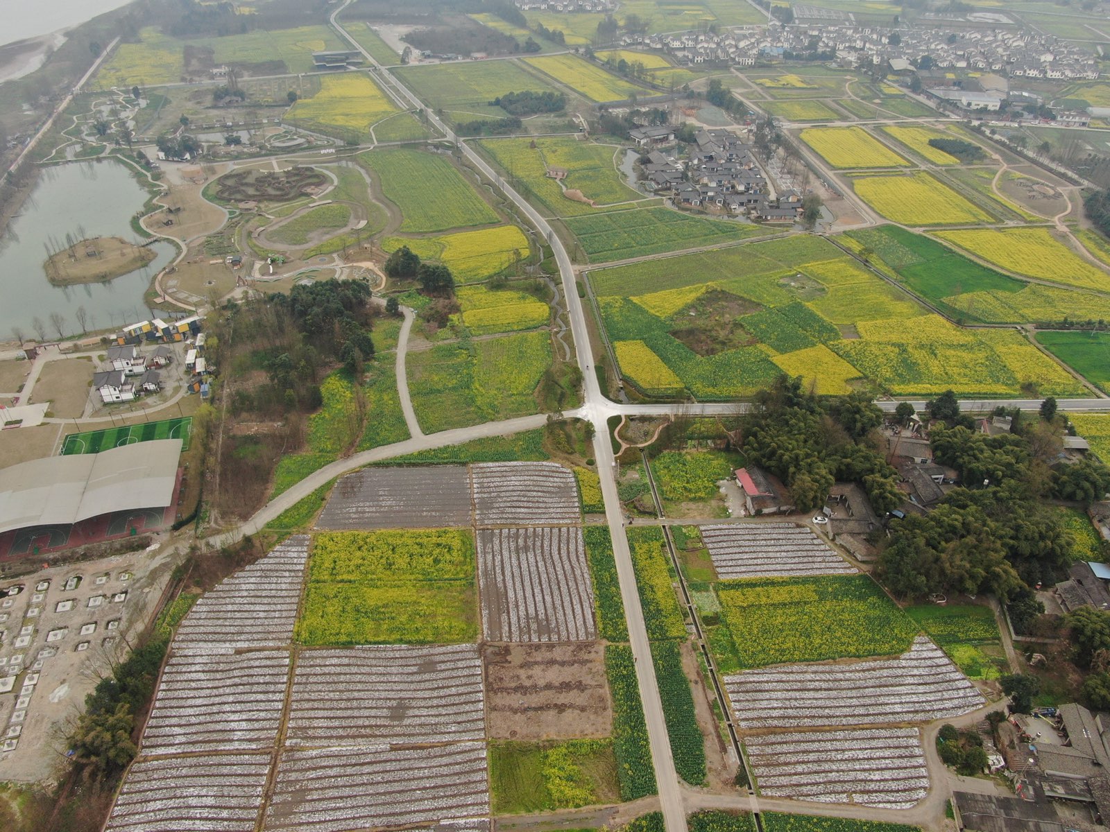 大邑县标签 风景区 旅游景点 稻乡渔歌福仁中心共多少人浏览