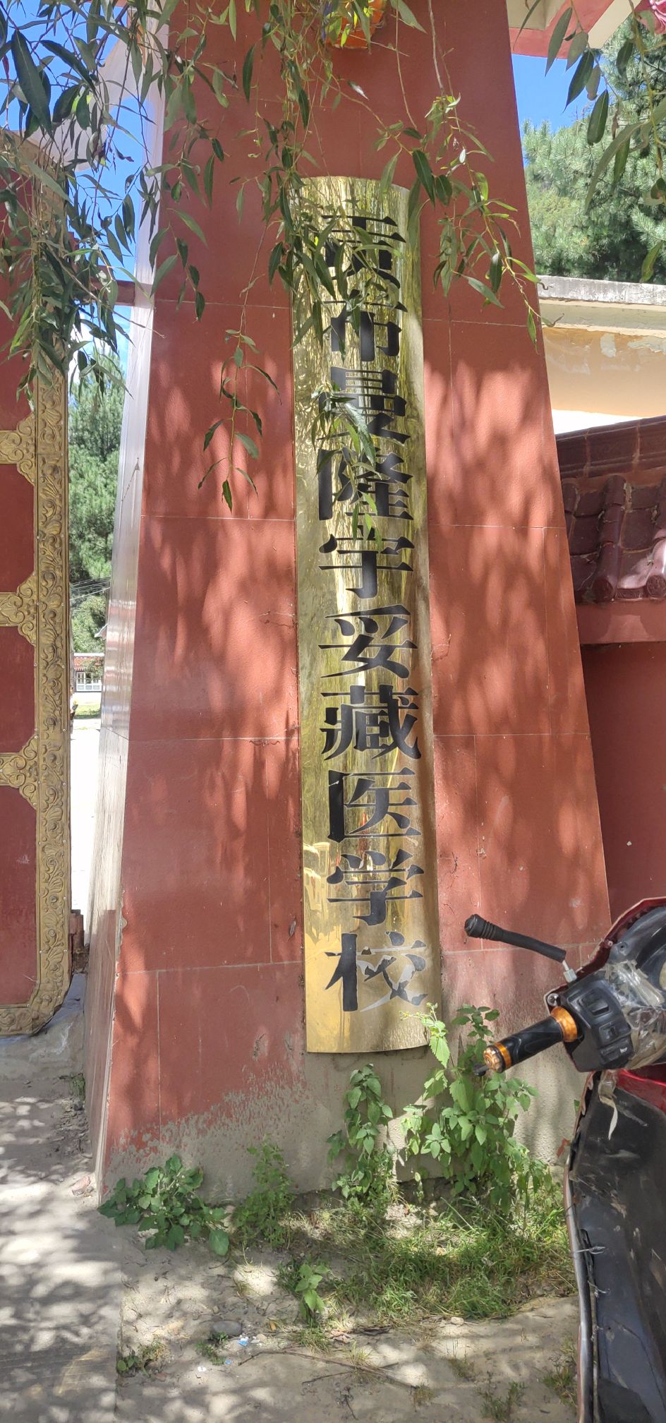 贡布曼隆宇妥藏医学校