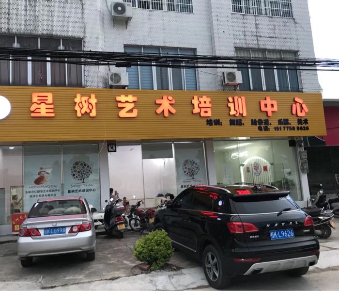 星树艺术培训中心
