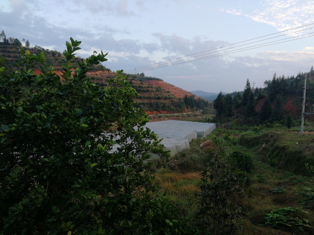 江西省赣州市定南县龙塘镇长富村朱坑