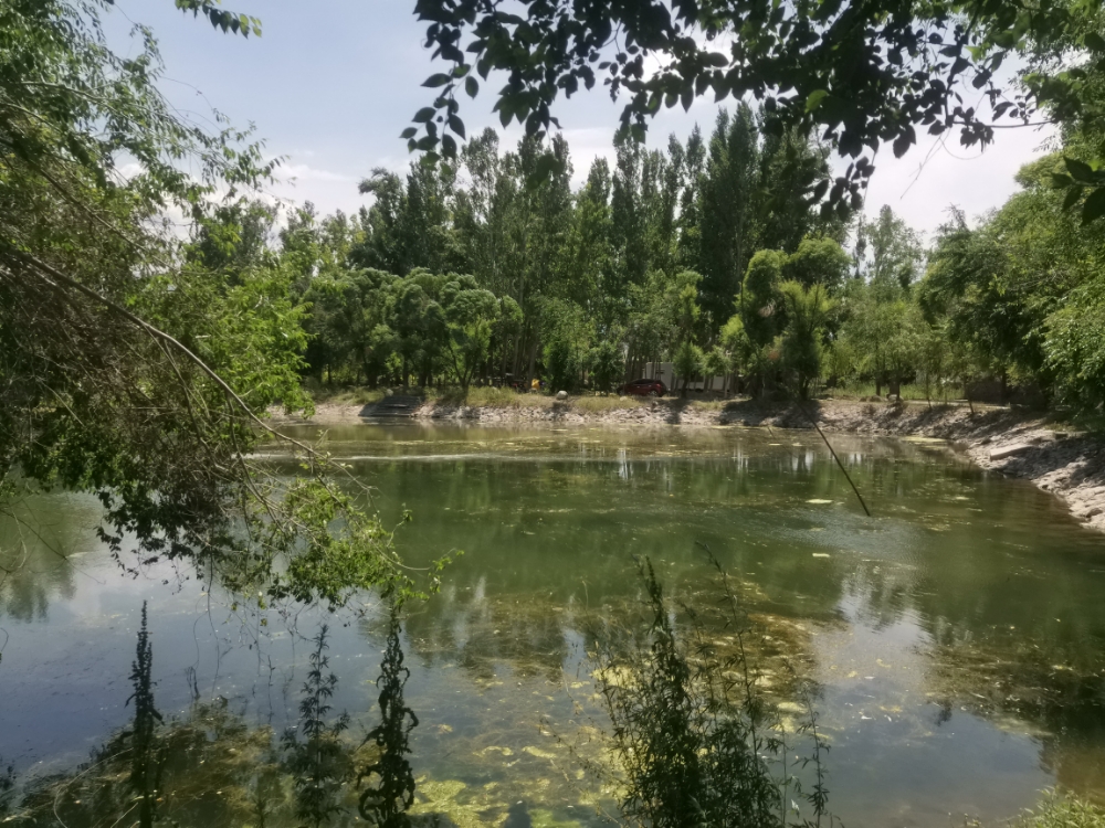 新疆回族生態(tài)\化園