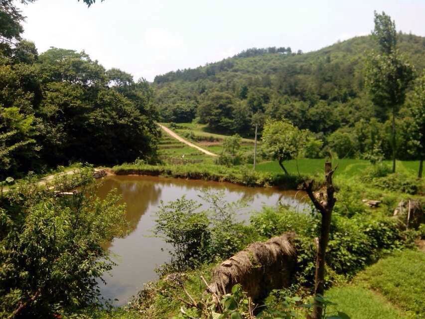 信阳市固始县