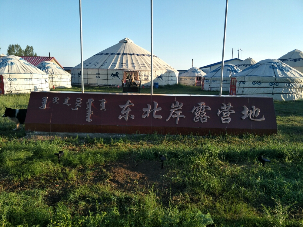 东北岸自驾游露营地(鸵鸟园)