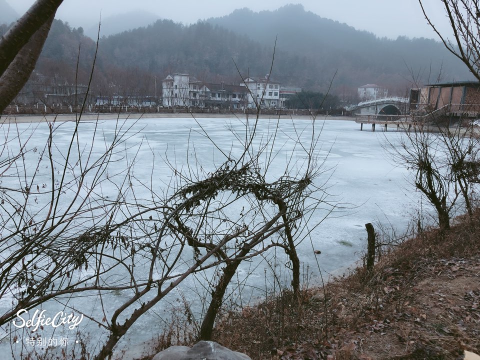 金水湾花海