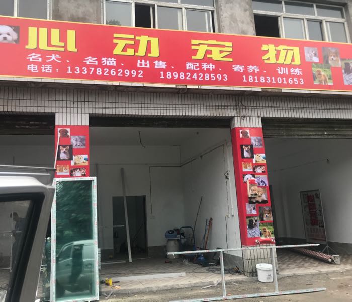 心动宠物犬舍