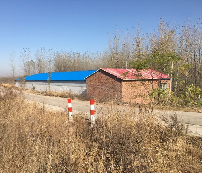安徽皓杰畜牧有限公司
