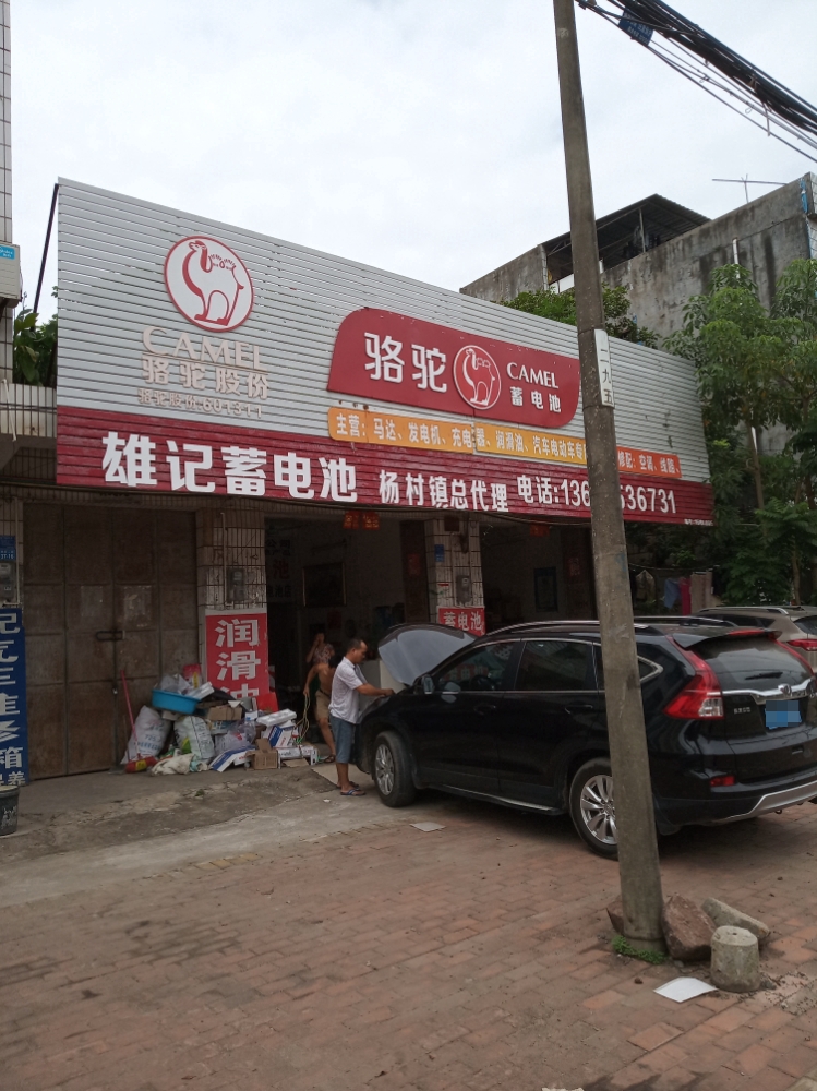 骆驼蓄电池(金杨大道店)