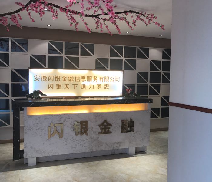 安徽闪银金融信息服务有限公司