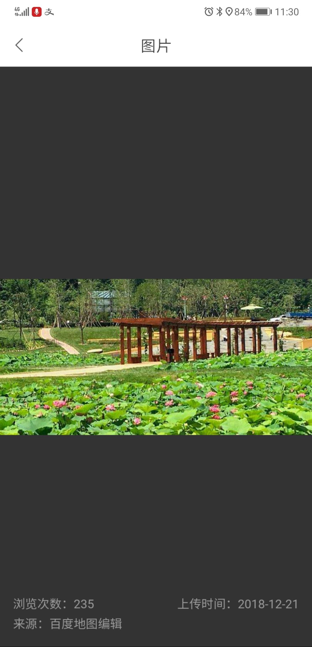 百里画廊千亩荷塘