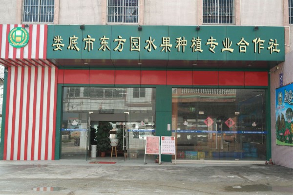 娄底市东方园水果种植专业合作社