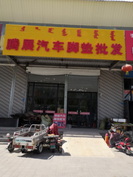 腾展汽车脚垫批发