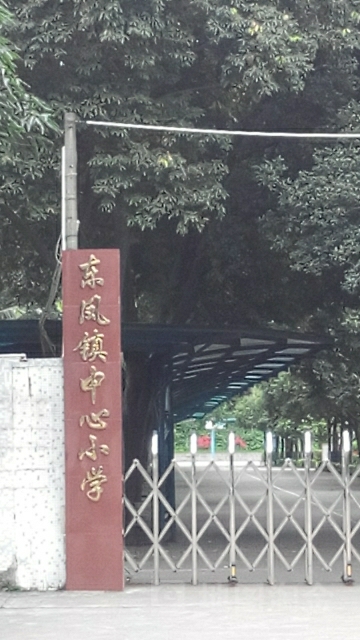 东凤镇中心小学(永安路)