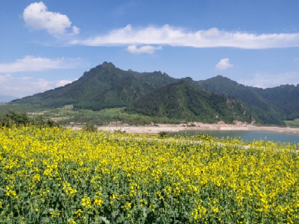 青海省海东市互助土族自治县