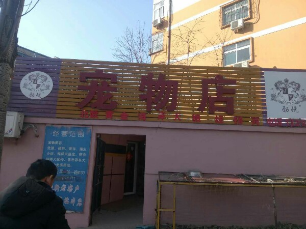 酷狗佳缘宠物店