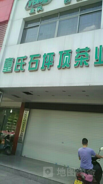 童氏石坪顶茶业