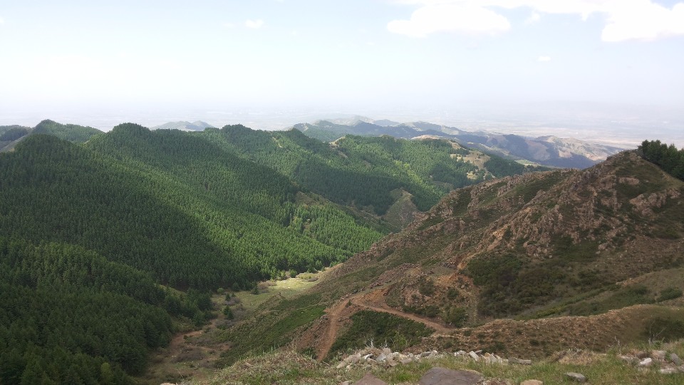 山西省大同市阳高县